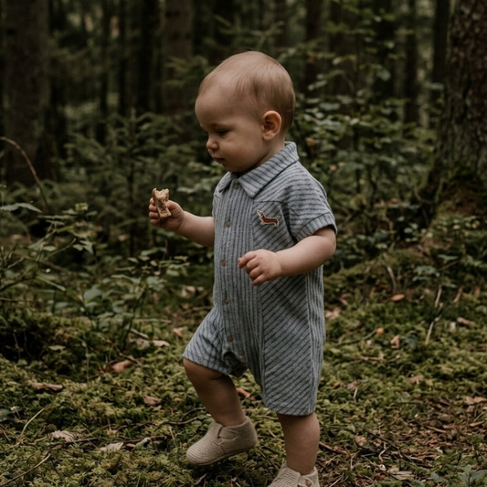 Striped Dachshund Short Sleeve Baby Romper