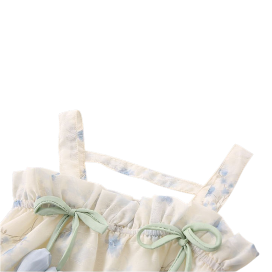 Cream Blue-Floral Bow Baby Dress