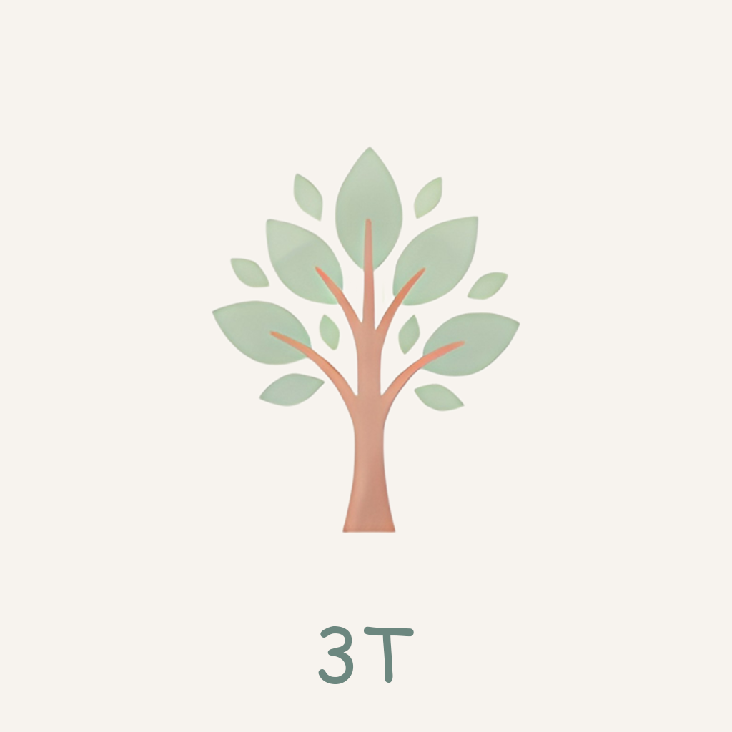 3 T