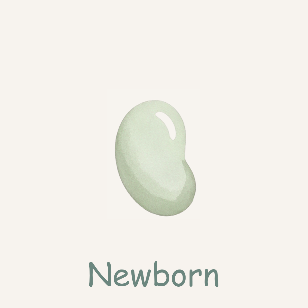 Newborn