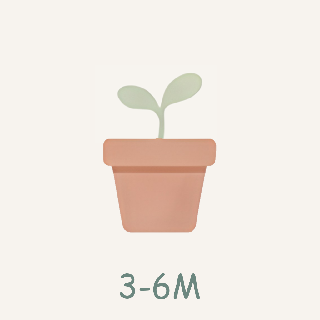 3-6 M