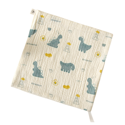 Dinosaur Baby Washcloth