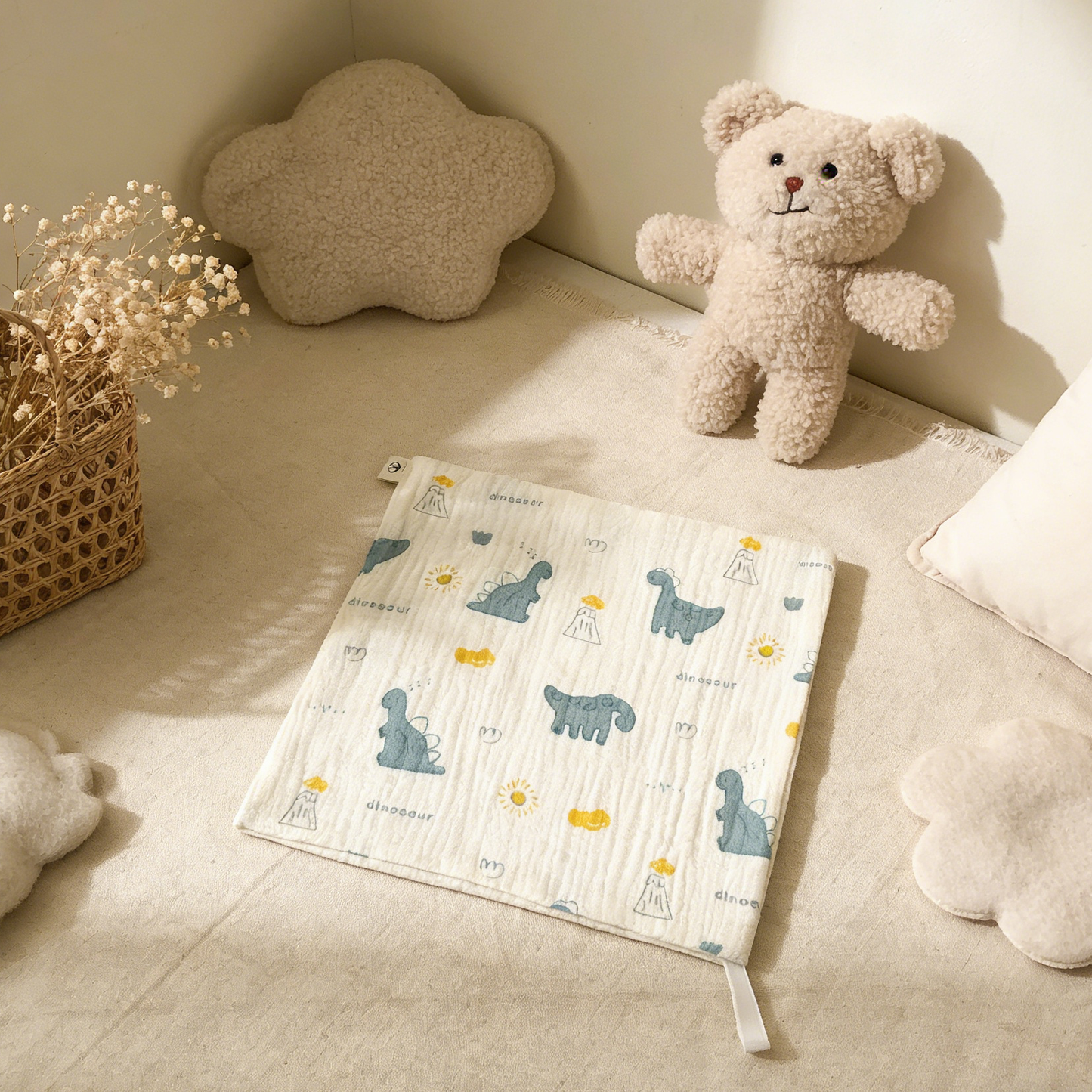 Dinosaur Baby Washcloth