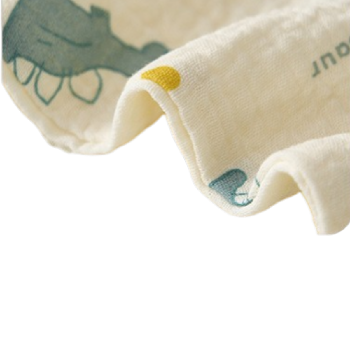 Dinosaur Baby Washcloth