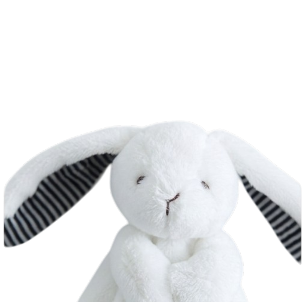 Little White Bunny Lovey