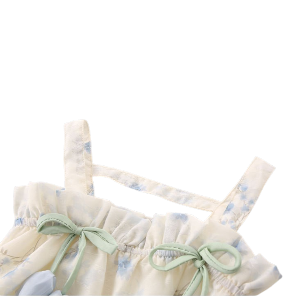 Cream Blue-Floral Bow Baby Dress